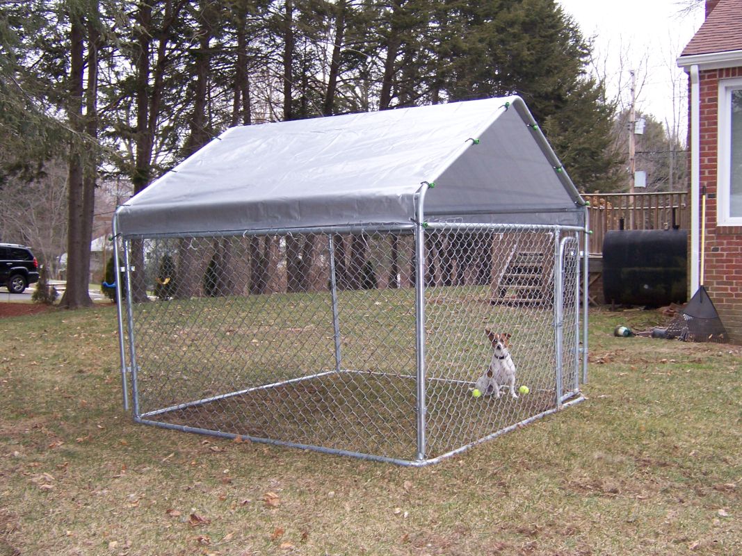 covered dog kennel covered dog kennel